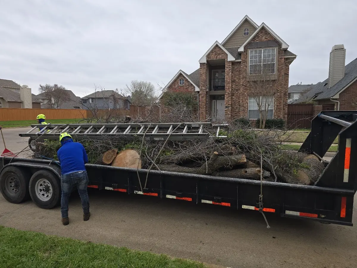Expert Lot Clearing with proper safety equipment in Gladewater